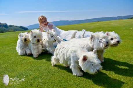 svadobny fotograf,bratislava,cennik,najlepsi,fotografie,kreativny,umelecke_.016